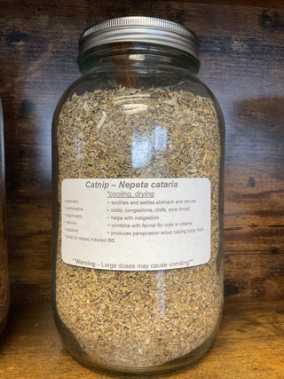 Catnip