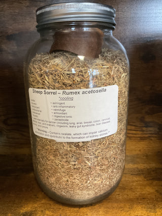 Sheep Sorrel
