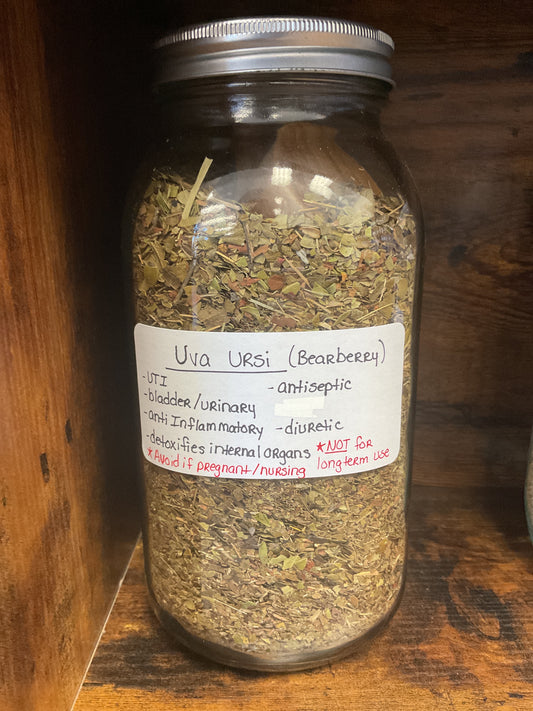 UVA Ursi