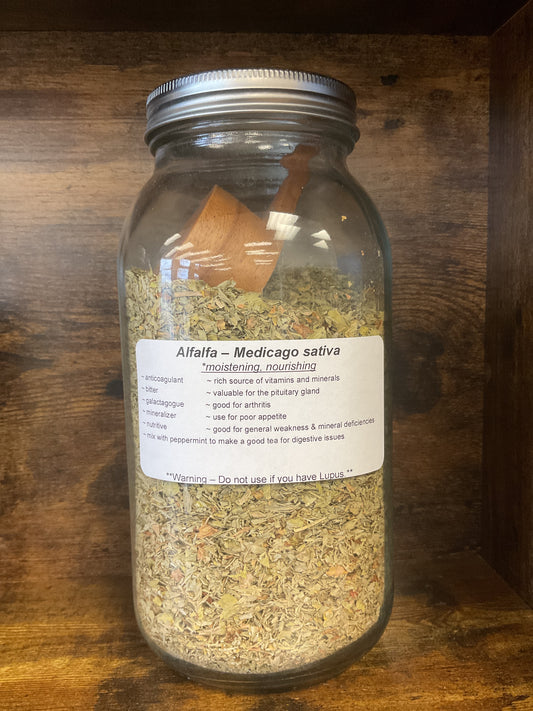Alfalfa