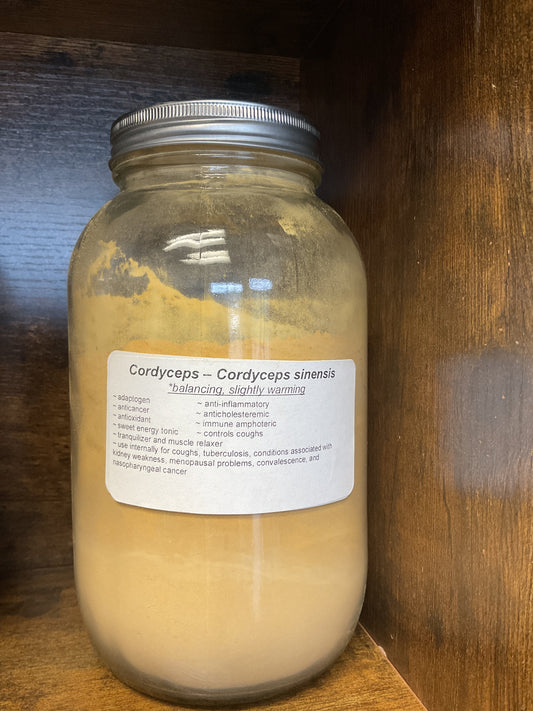 Cordyceps