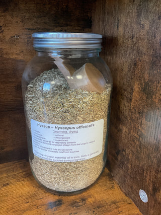Hyssop
