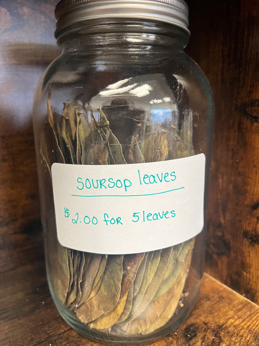 Sour Sop Leaves