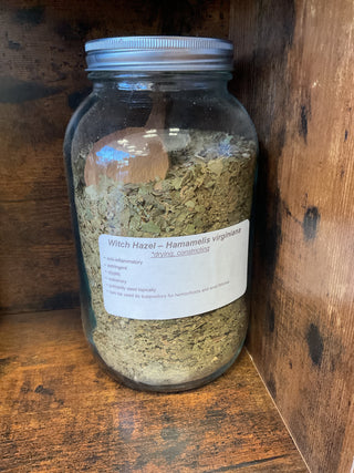 Witch Hazel