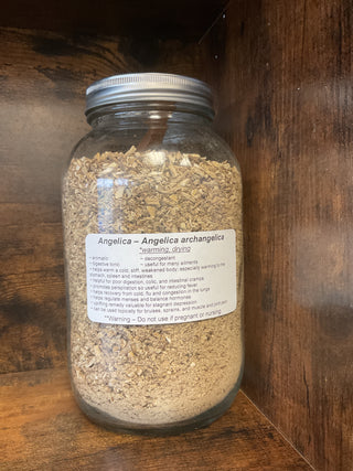 Angelica