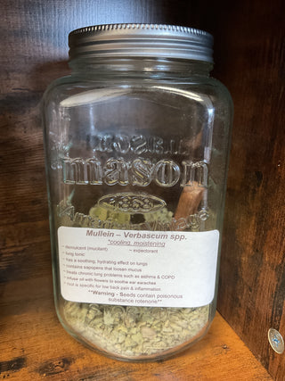 Mullein