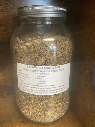 Lobelia