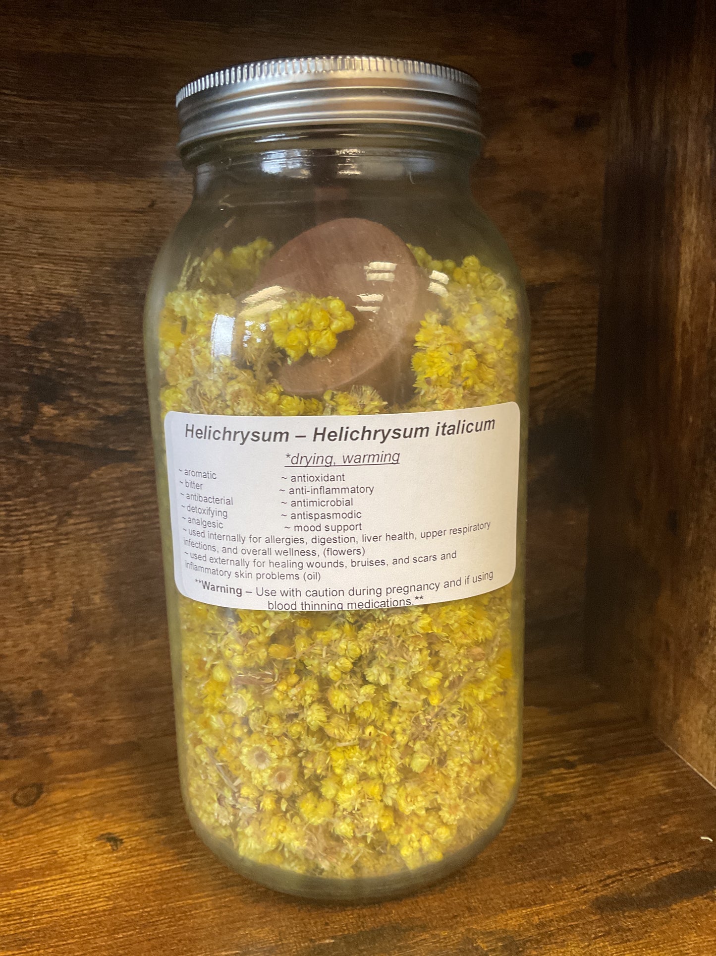 Helichrysum