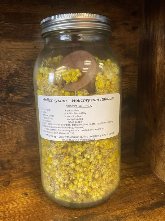 Helichrysum