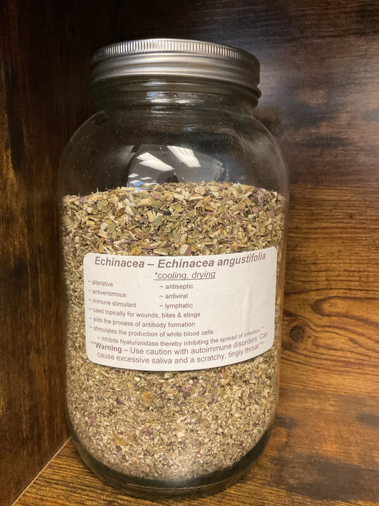 Echinacea