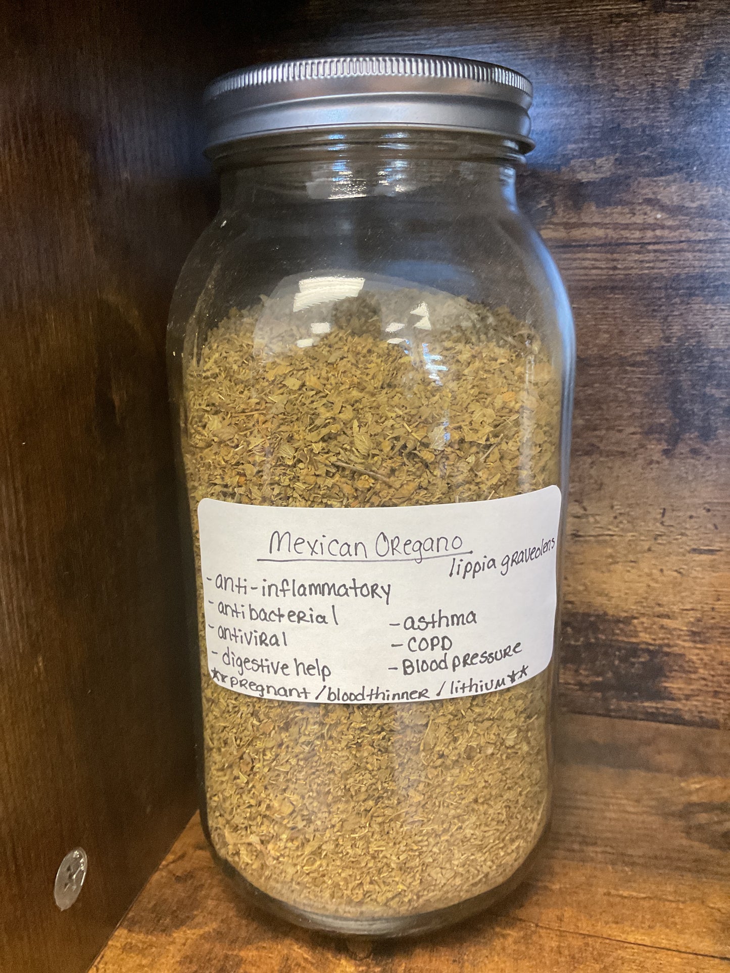 Mexican Oregano