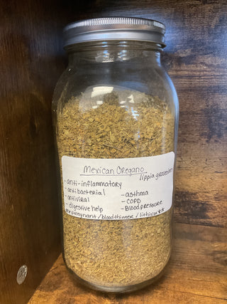 Mexican Oregano