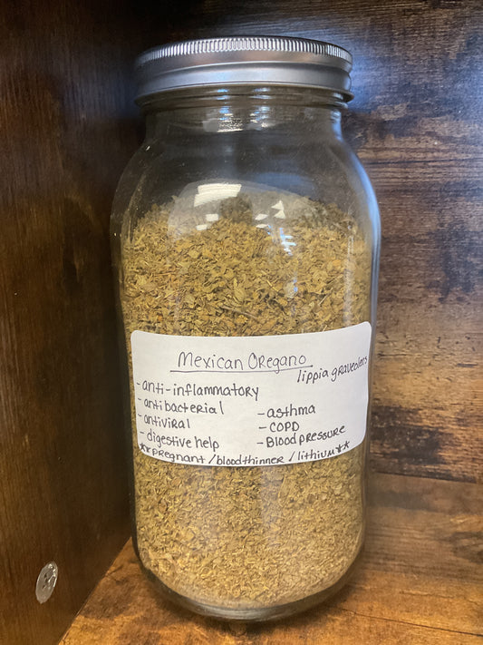 Mexican Oregano