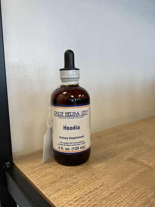 Hoodia