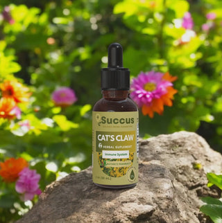 Cats Claw Tincture