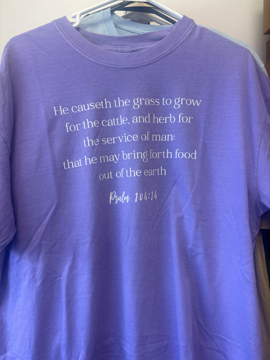 Psalms 104